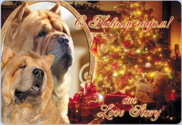 С новым годом!